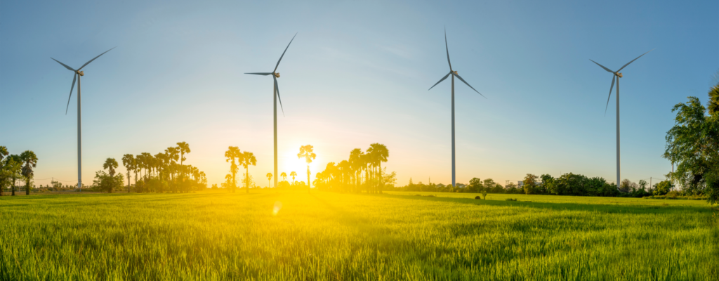 Renewable energy created by windmills set in grassy fields with palm trees in the background